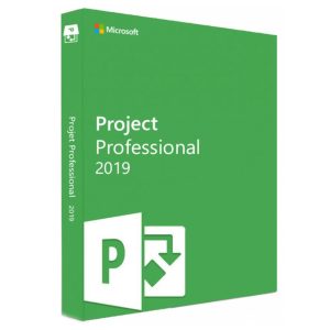 Project 2019 professional Key