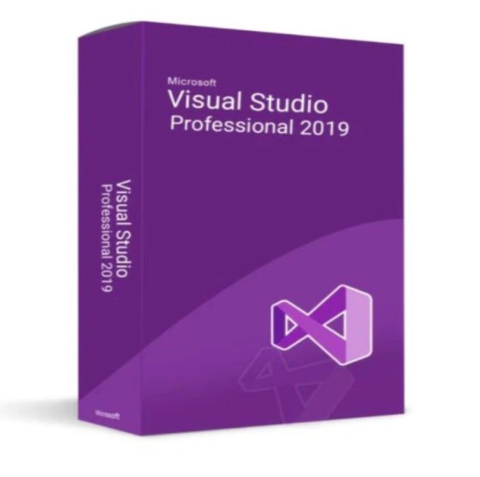 Microsoft Visio Studio Professional 2019 - Loja Silvermoz